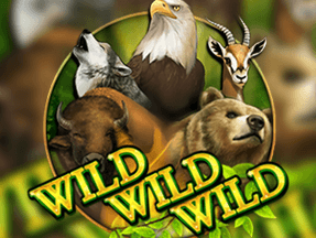 Wild Wild Wild game cover